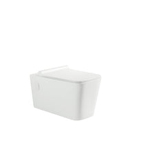 Load image into Gallery viewer, Riffo Toilet Cistern System Combo