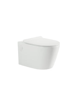 Riffo Toilet Cistern System Combo