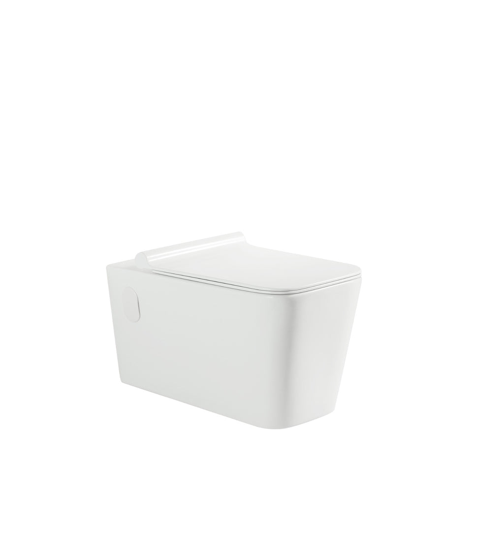 Riffo Toilet Cistern System Combo - Point Hardware Johannesburg