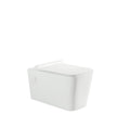 Riffo Toilet Cistern System Combo - Point Hardware Johannesburg
