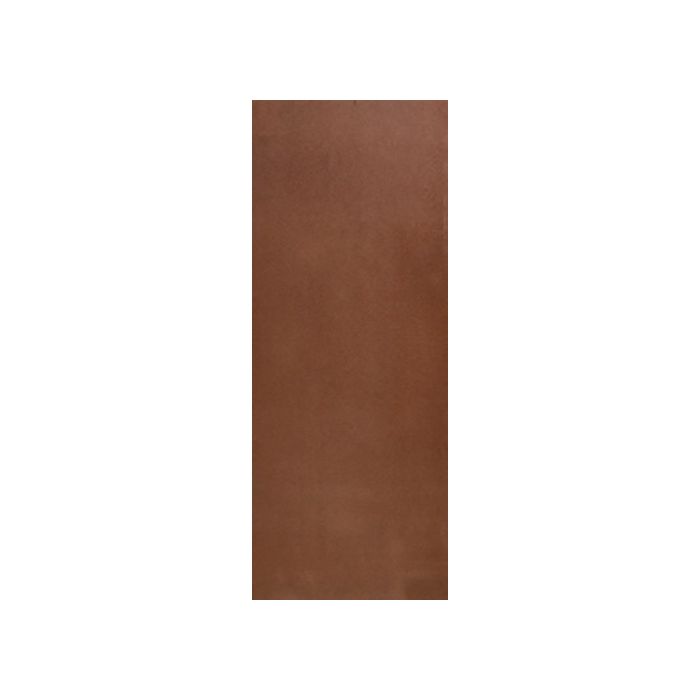 Masonite Door